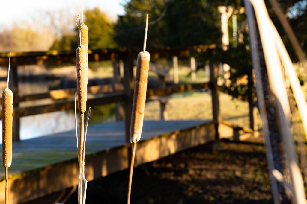 Moon Lake Farm - photo 17