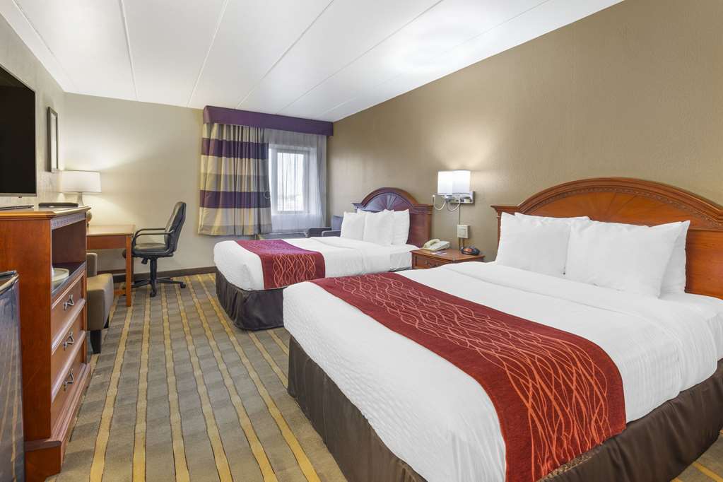 Comfort Inn University Center - photo 10