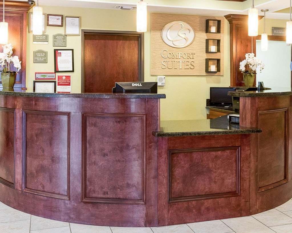 Comfort Suites Harvey New Orleans West - photo 6
