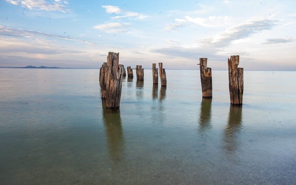 Point Lonsdale Holiday Apartments Adults only — Point Lonsdale — photo 4