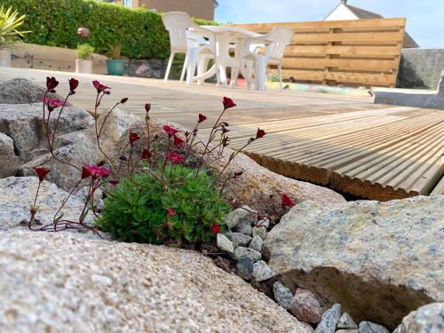Rymer Leigh — 4-Star Luxury Hotel in Marazion, United Kingdom