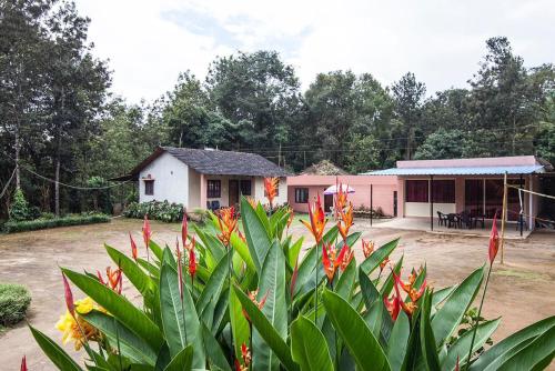 Madhu Giri Stay in Chikmagalur, India