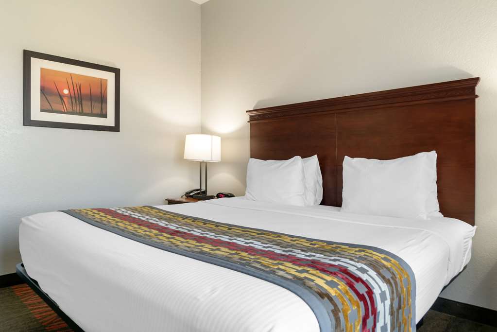 Best Western Executive Inn & Suites - photo 19