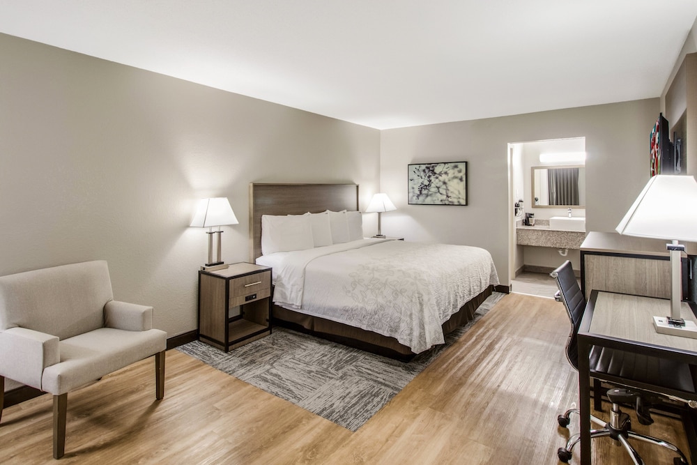 Red Roof Inn PLUS Dallas Addison - photo 7