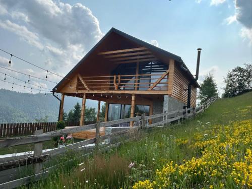 Cabana de sub mesteceni - last minute hotel in Unknown City