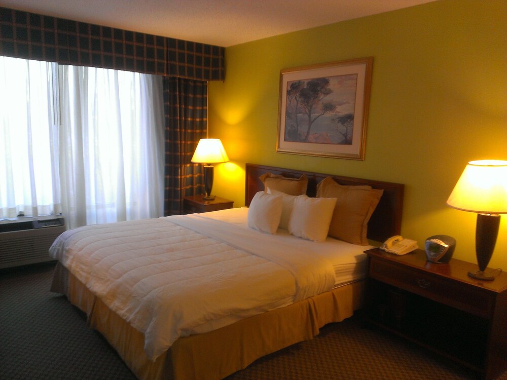 Speco Hotels Richmond - photo 6