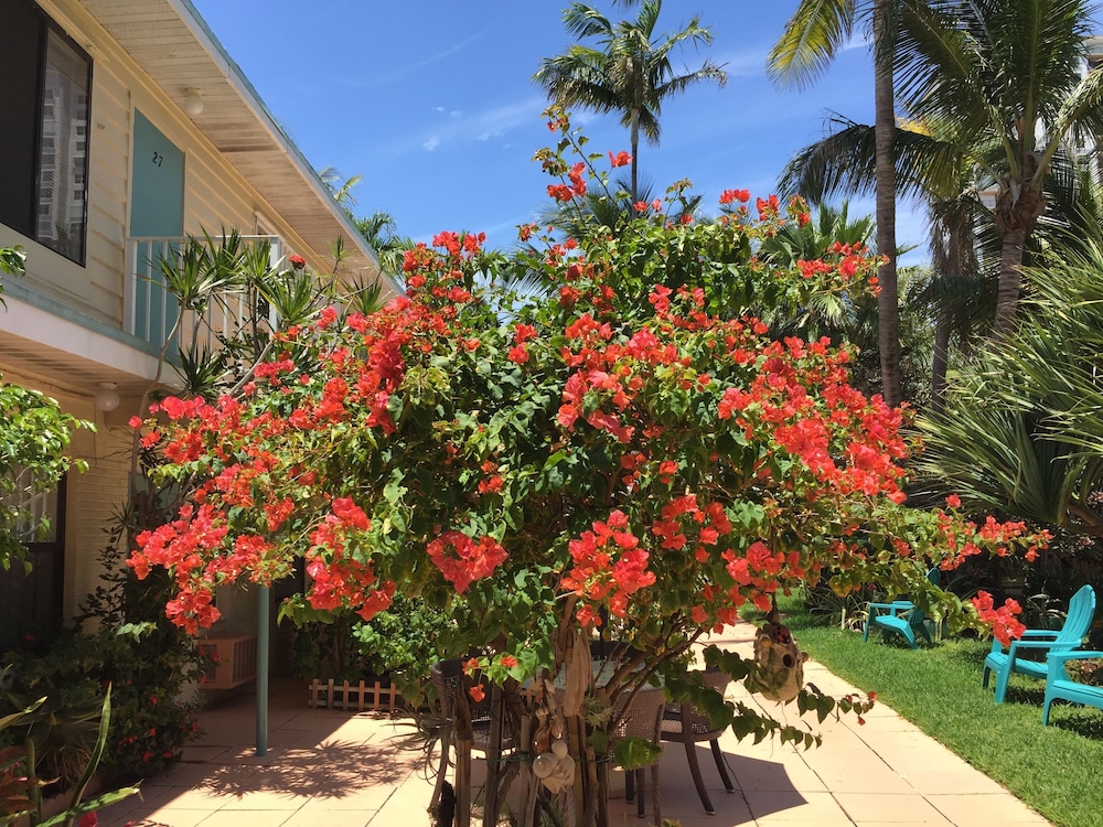 Sea Cove Resort Motel - photo 34