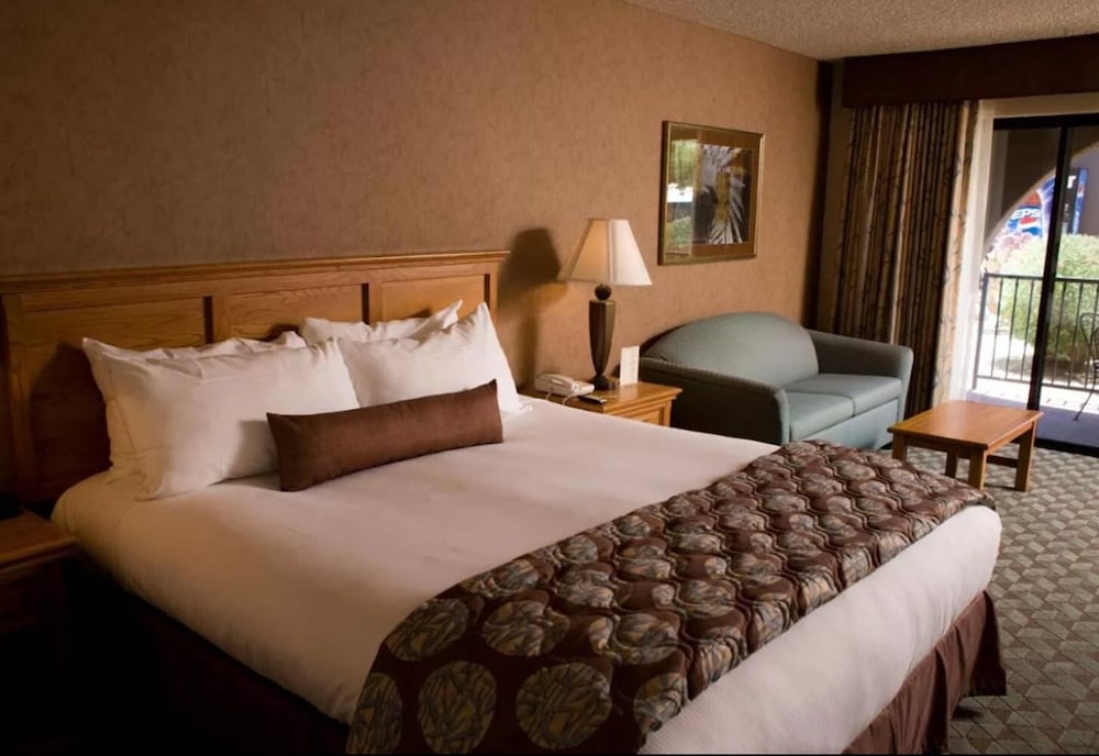 Borrego Springs Resort & Spa - photo 7