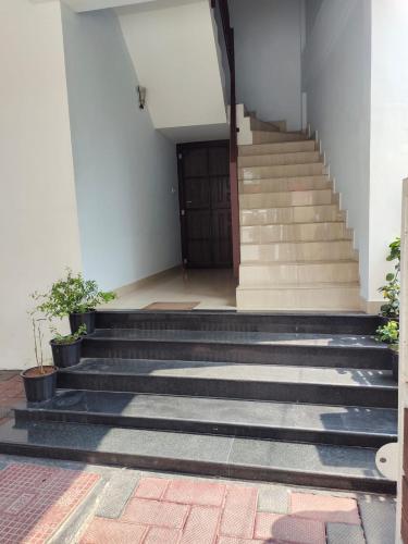 Ossos Apartment