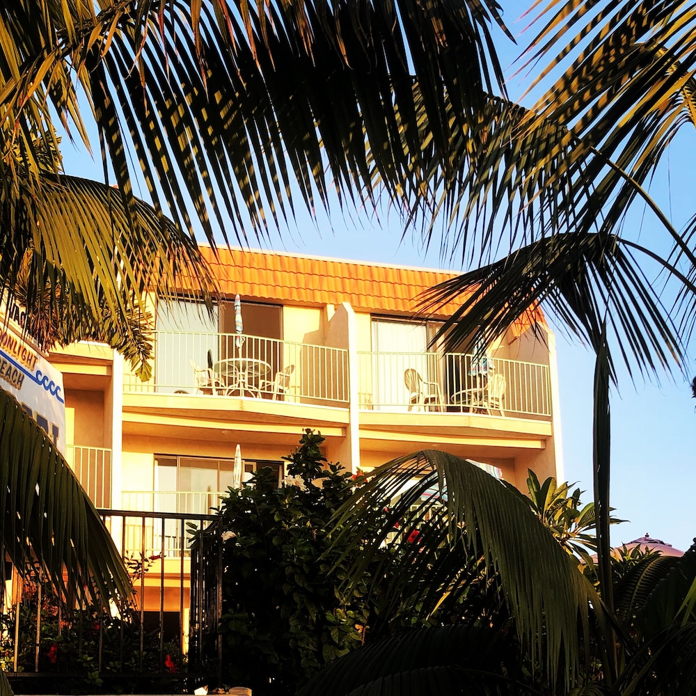 Moonlight Beach Motel - photo 25