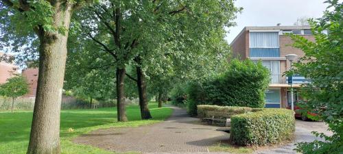 Hagerstudio 21278146 — Huizen