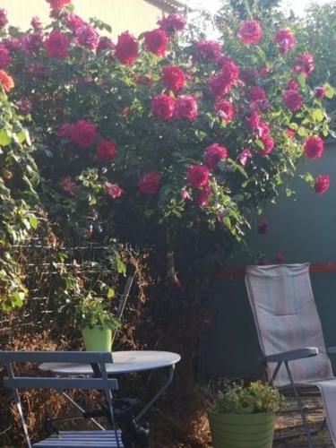 Hébergement de vacances à riez à 10 minutes environ du lac de sainte Croix du Verdon in Riez, France