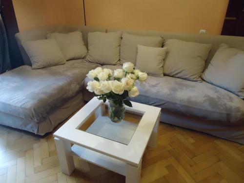 Apartment Jafa