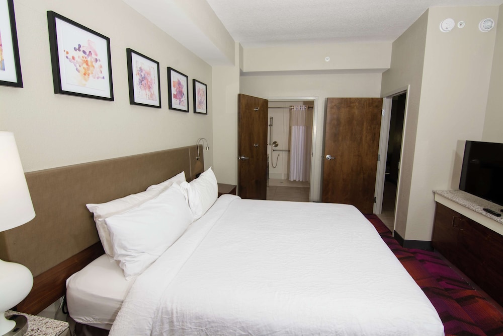Hilton Garden Inn Tampa Suncoast Parkway - photo 28