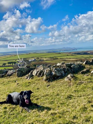 Charming coastal cottage pet friendly — 4-Star Luxury Hotel in Goodwick, United Kingdom