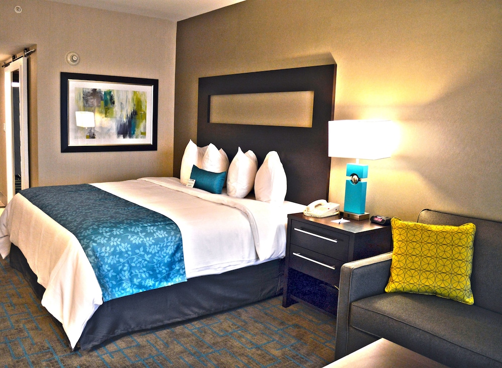 Holiday Inn & Suites Syracuse Airport Liverpool by IHG - photo 7