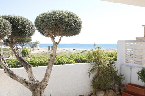 Casas Blancas 38 — Mont-Roig Del Camp — photo 5