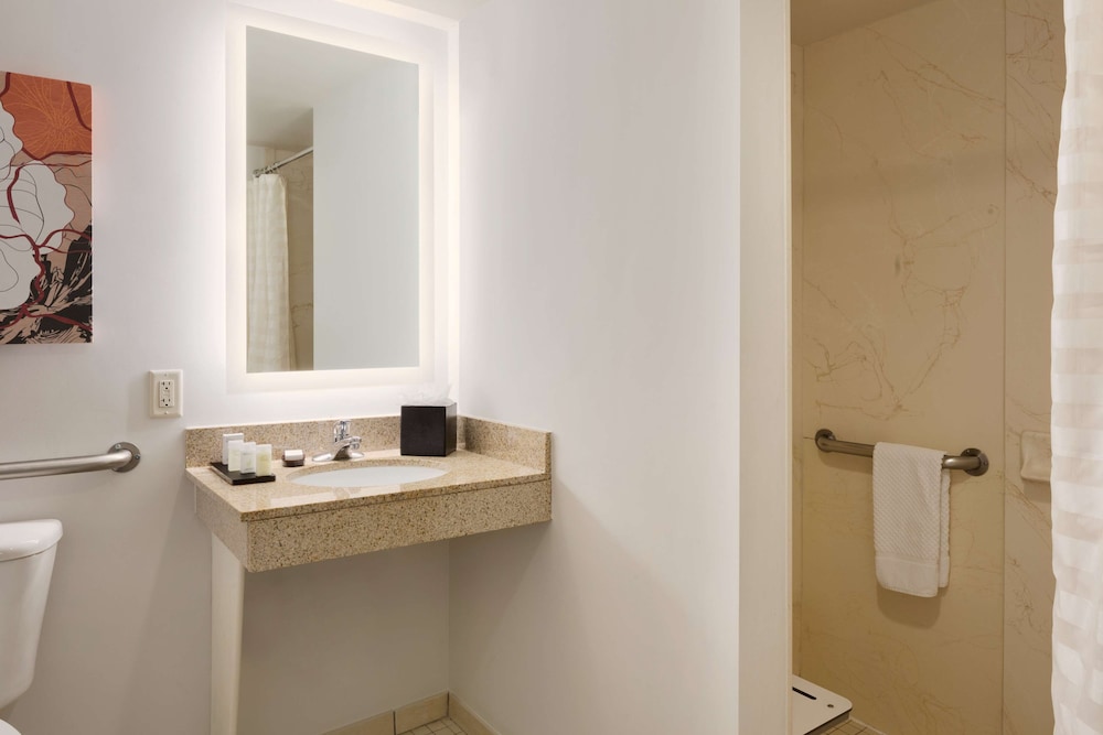 Embassy Suites by Hilton Denver International Airport - photo 28