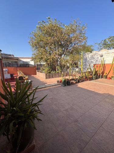 La Casa del Arbol Townhouse — 4-Star Luxury Hotel in Oaxaca, Mexico