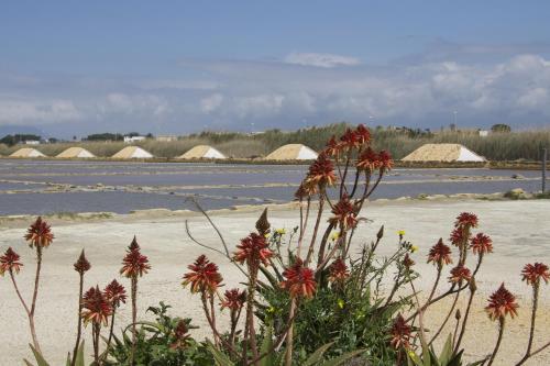 Papparina House — 4-Star Luxury Hotel in Marsala, Italy