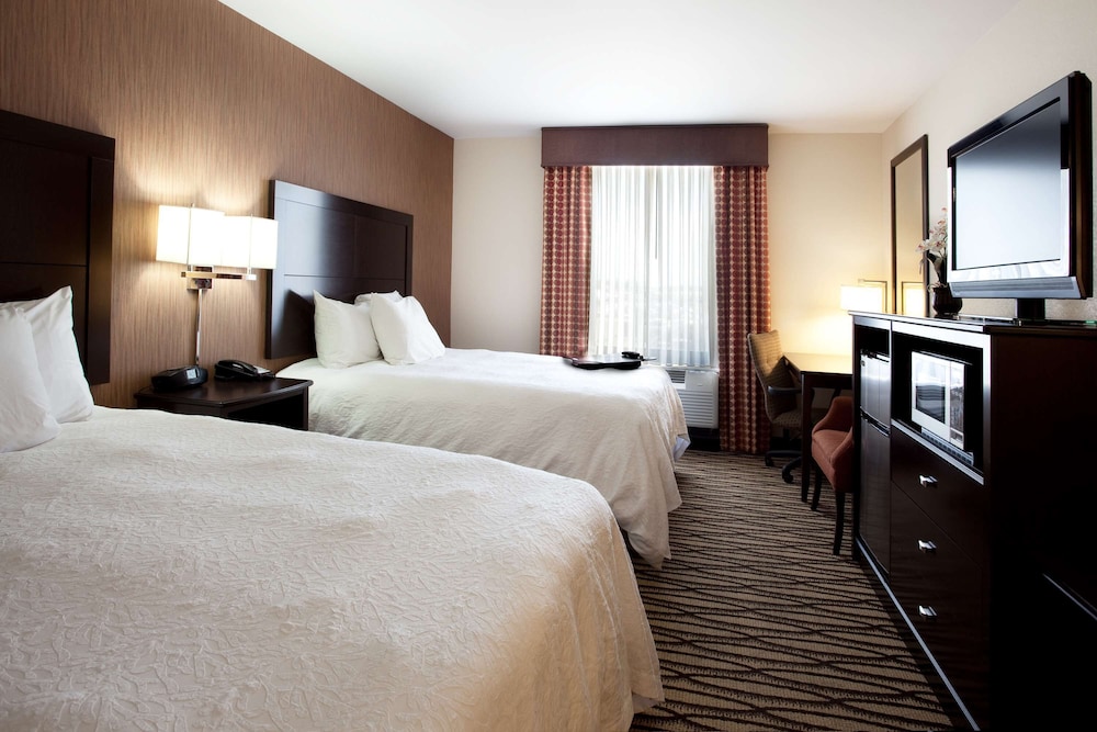 Hampton Inn & Suites Morgan City - photo 20