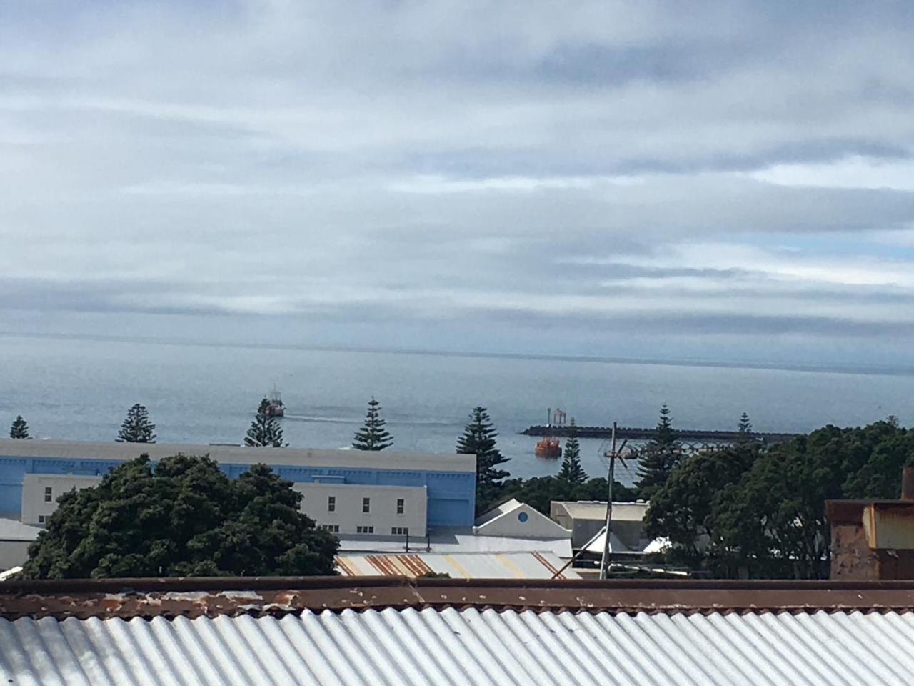 58 Pioneer Retro Studio Unit in New Plymouth, New Zealand