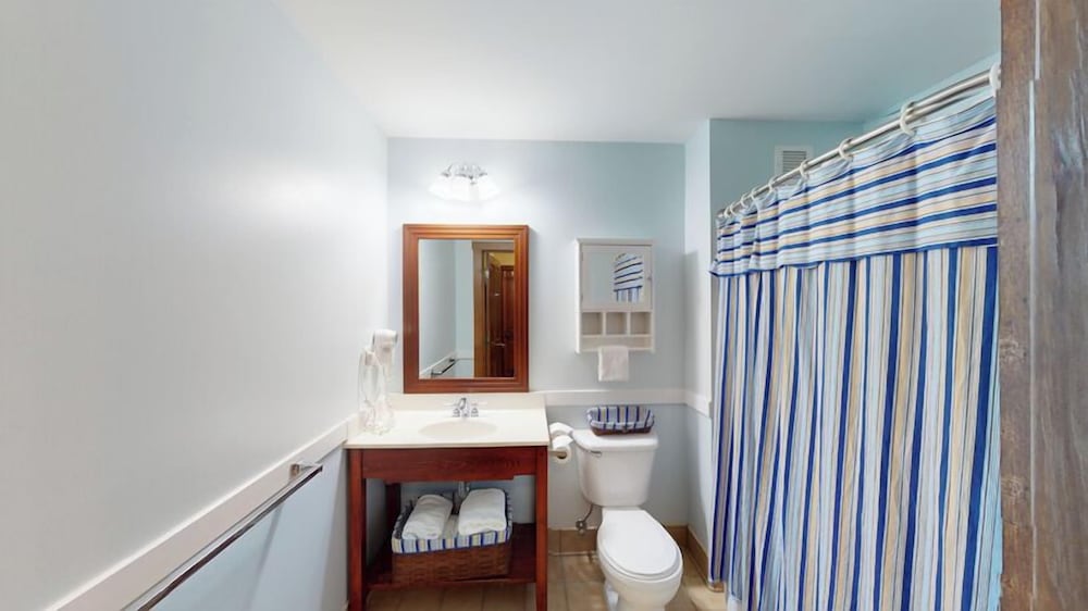 Allegheny Springs - photo 10