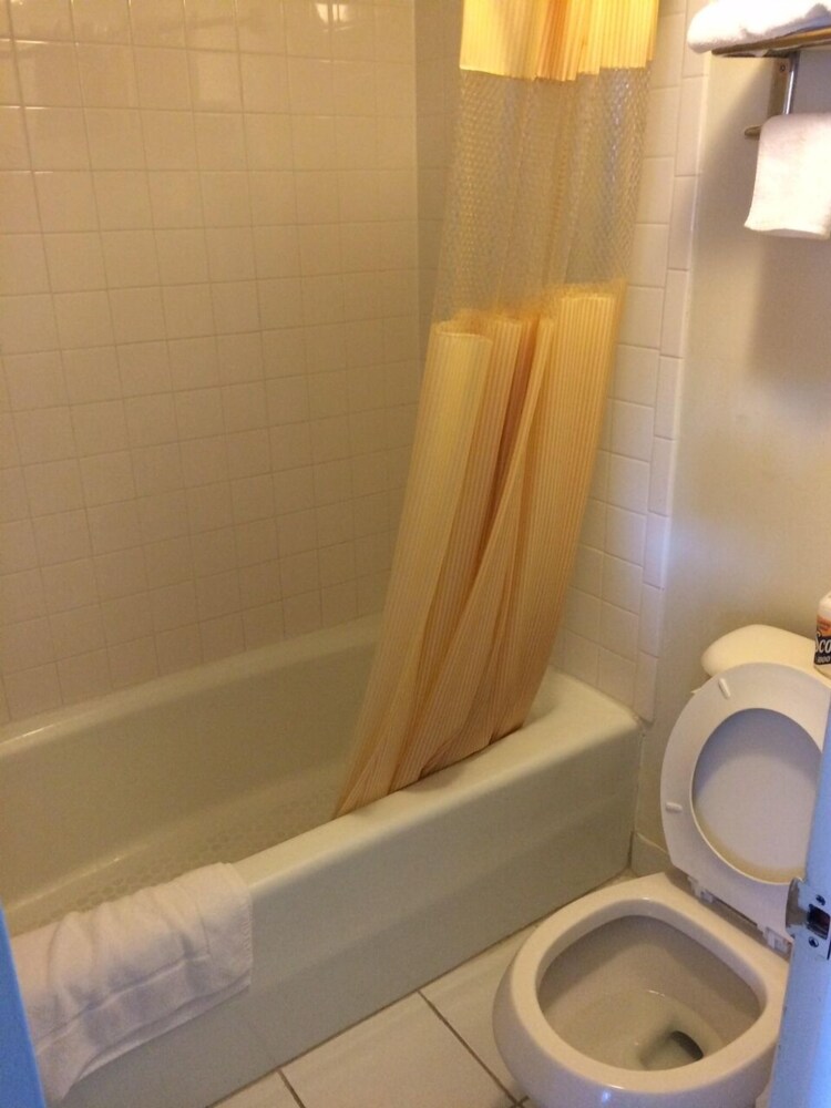 All Day Inn - photo 17
