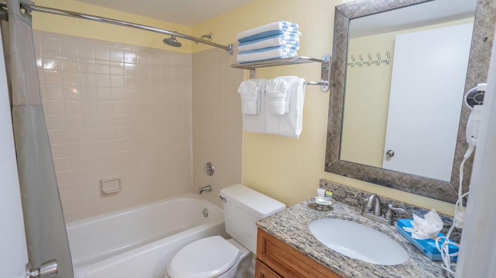 Blue Tree Resort at Lake Buena Vista - photo 42
