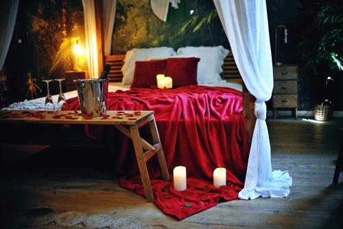 L Evasion Romantique En Amazonie Spa Ecran Cinema Day Use Lit Baldaquin — Evreux
