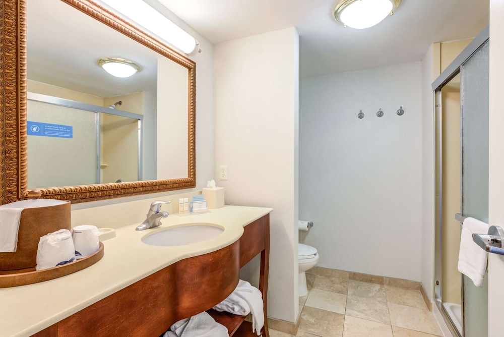 Hampton Inn & Suites Westford Chelmsford - photo 22