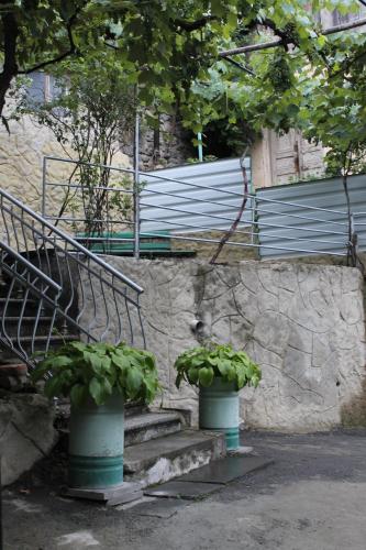 Mariko — Borjomi — photo 5