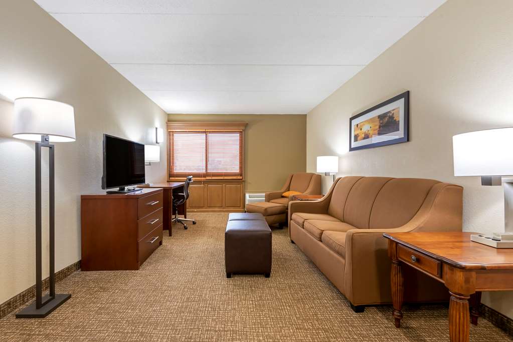 Comfort Inn Binghamton I 81 - photo 22