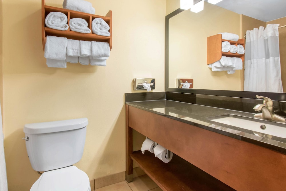 University Hotel & Suites Shippensburg Trademark by Wyndham - photo 31