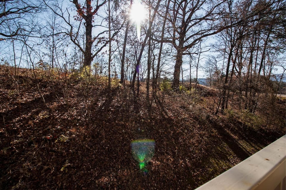 1203 Golf View Towers Bears Den - photo 34