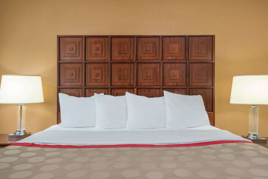Ramada by Wyndham Columbus North - photo 17