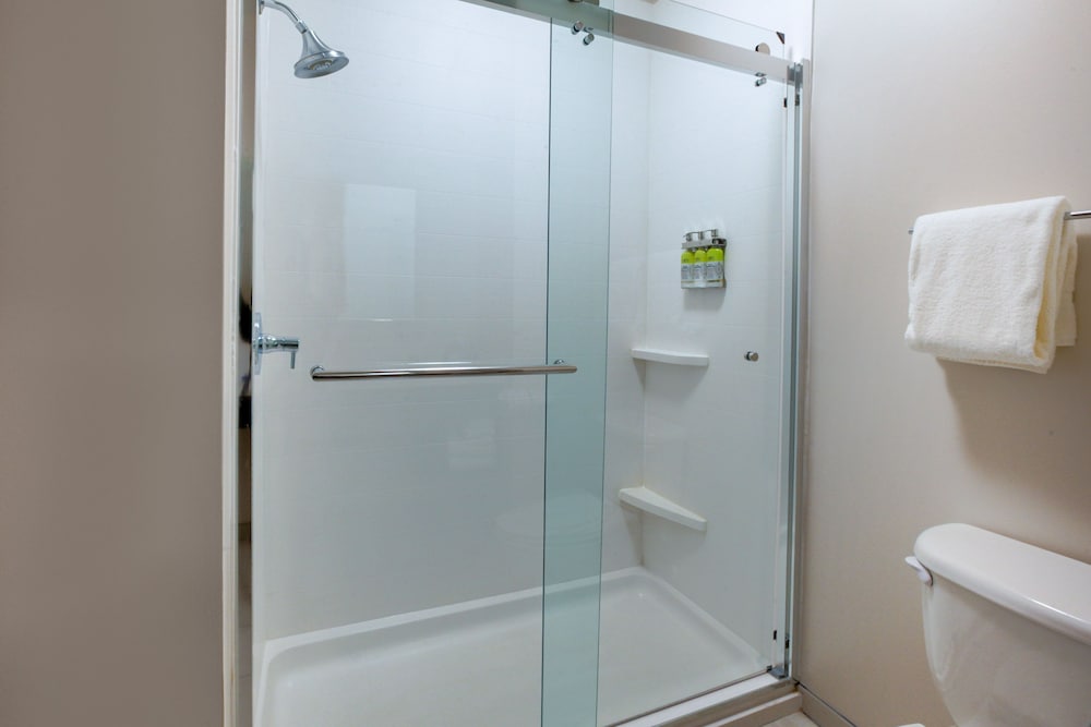 Holiday Inn Express Hotel & Suites Woodhaven by IHG - photo 18
