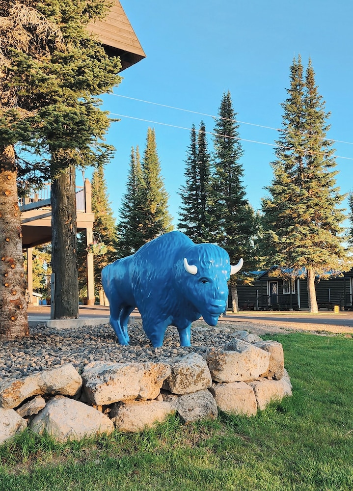 Blue Buffalo Resort - photo 61