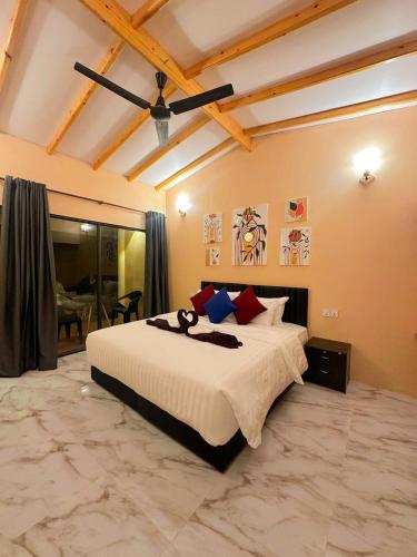 Blue Coral Thoddoo in Unknown City, Maldives