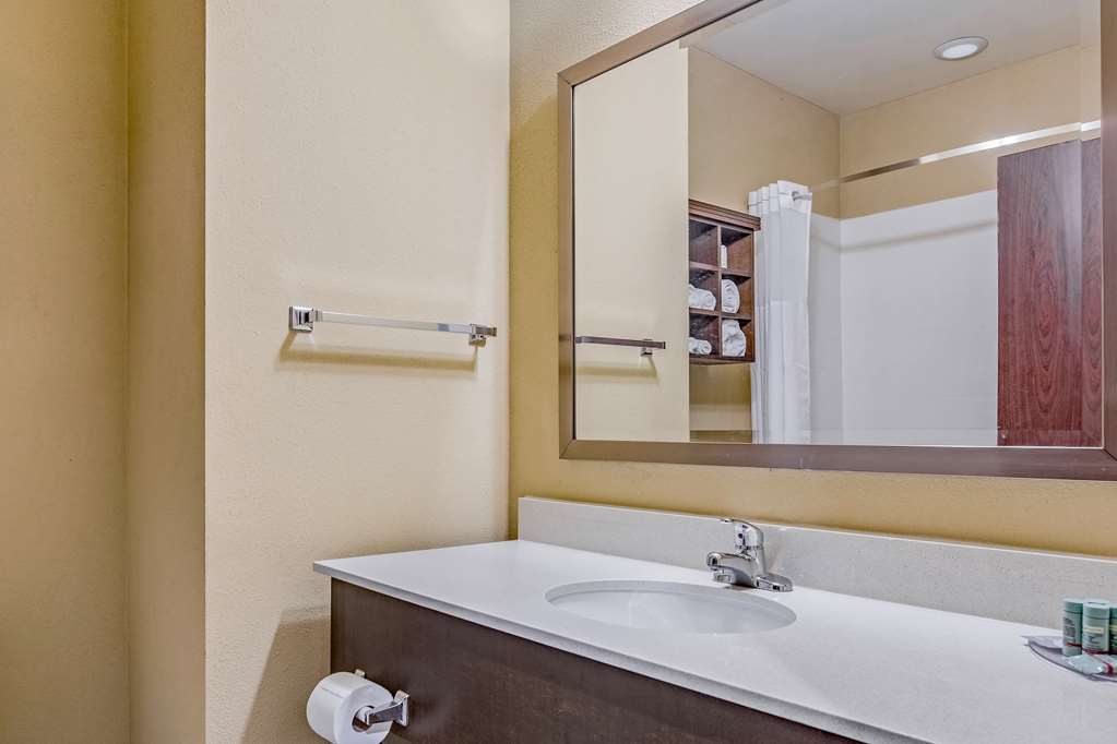 Best Western St. Louis Airport North Hotel & Suites - photo 29