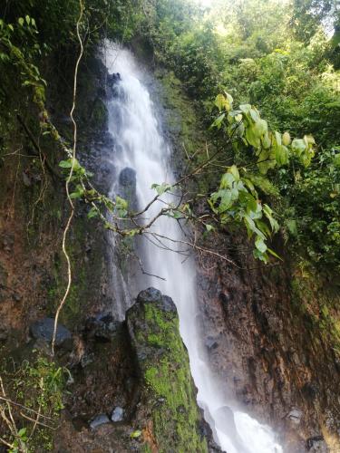 Apartamento cerca a cascada del Amor Wifi — Jardin — photo 2