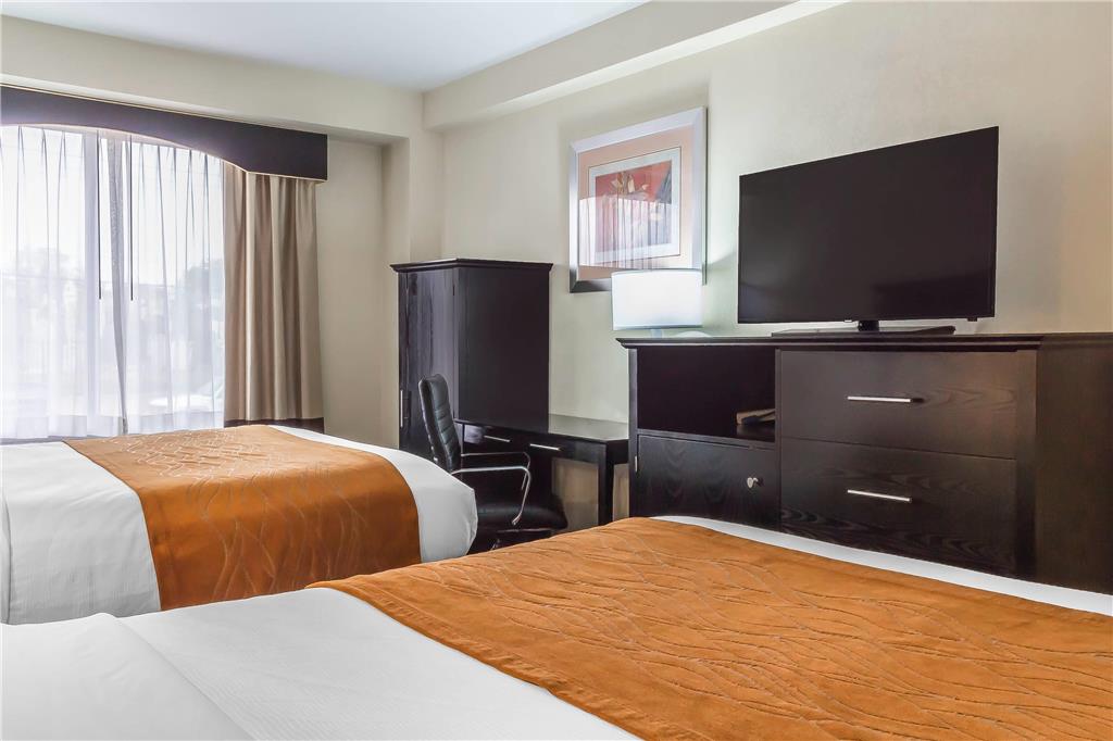 Comfort Inn & Suites LaGuardia Airport - photo 19