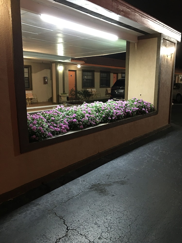 Silver Princess Motel - photo 22