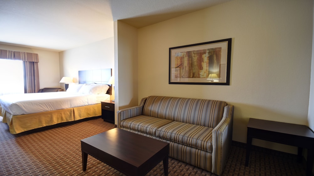 Holiday Inn Express & Suites Del Rio by IHG - photo 5