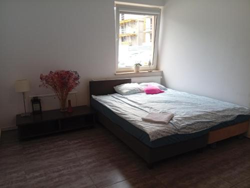 Stogi Dom - last minute hotel in Gdansk
