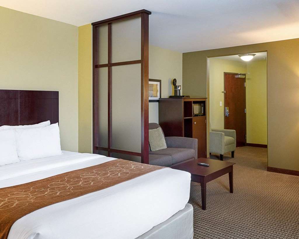 Comfort Suites Harvey New Orleans West - photo 13