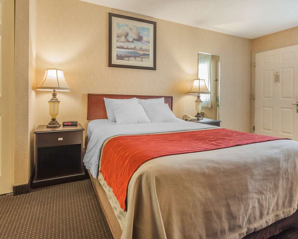 Comfort Inn On the Bay - photo 18