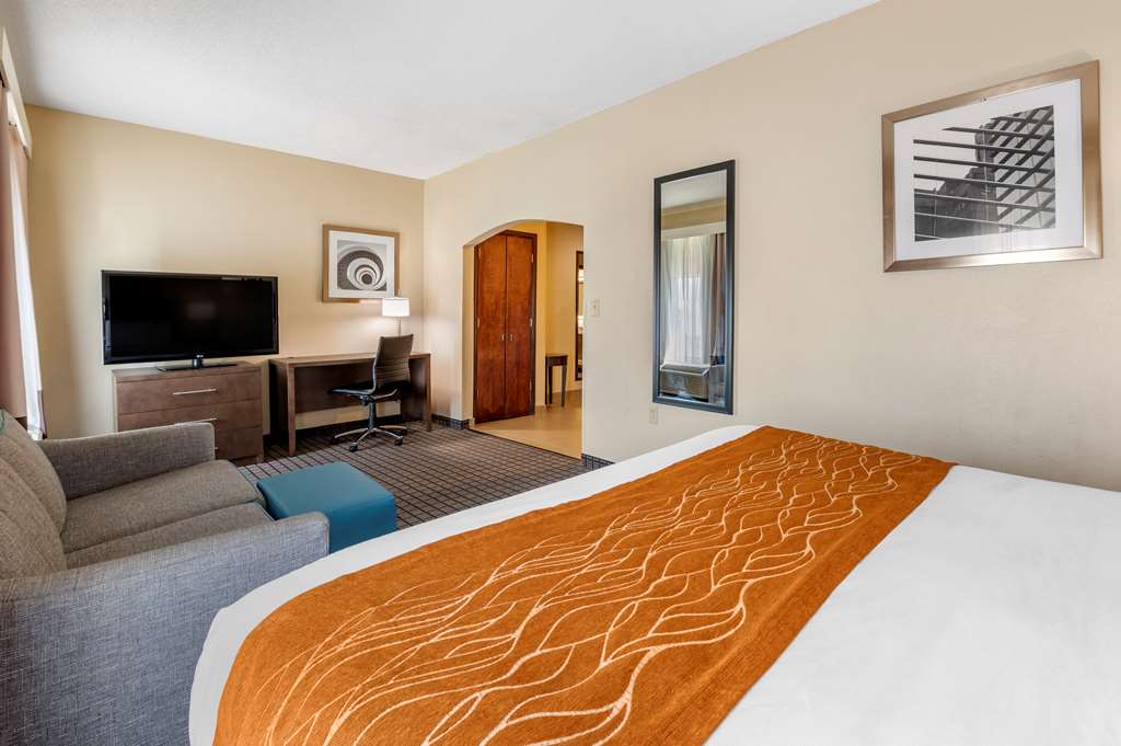 Comfort Inn & Suites Cincinnati Uptown Clifton - photo 21