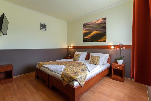 Aranypatkó Panzió — hotel in Gyorujbarat