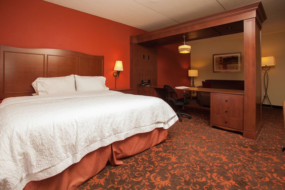 Hampton Inn Elmira Horseheads - photo 26